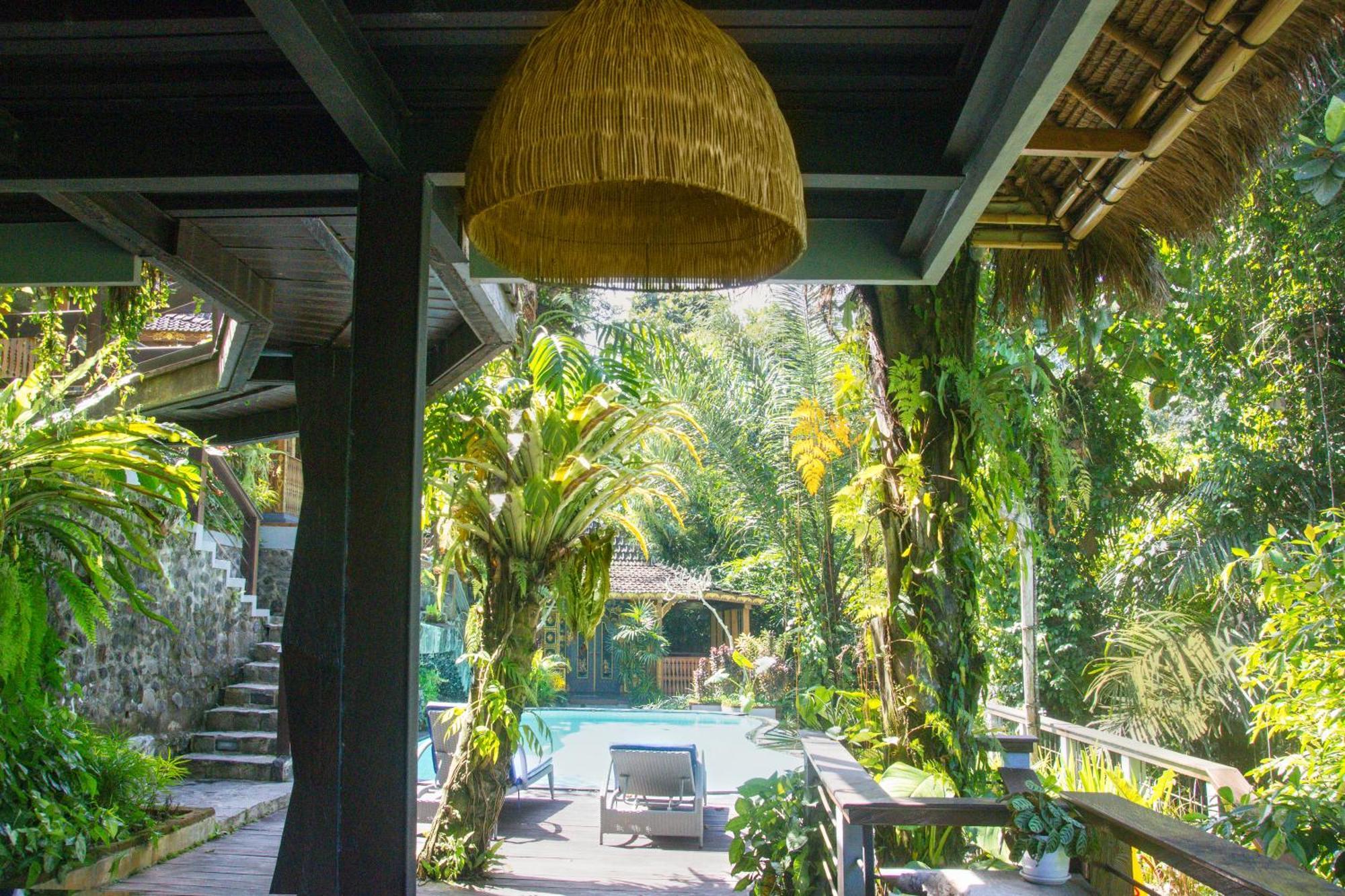 Parvati Retreat Villas Ubud Exteriör bild
