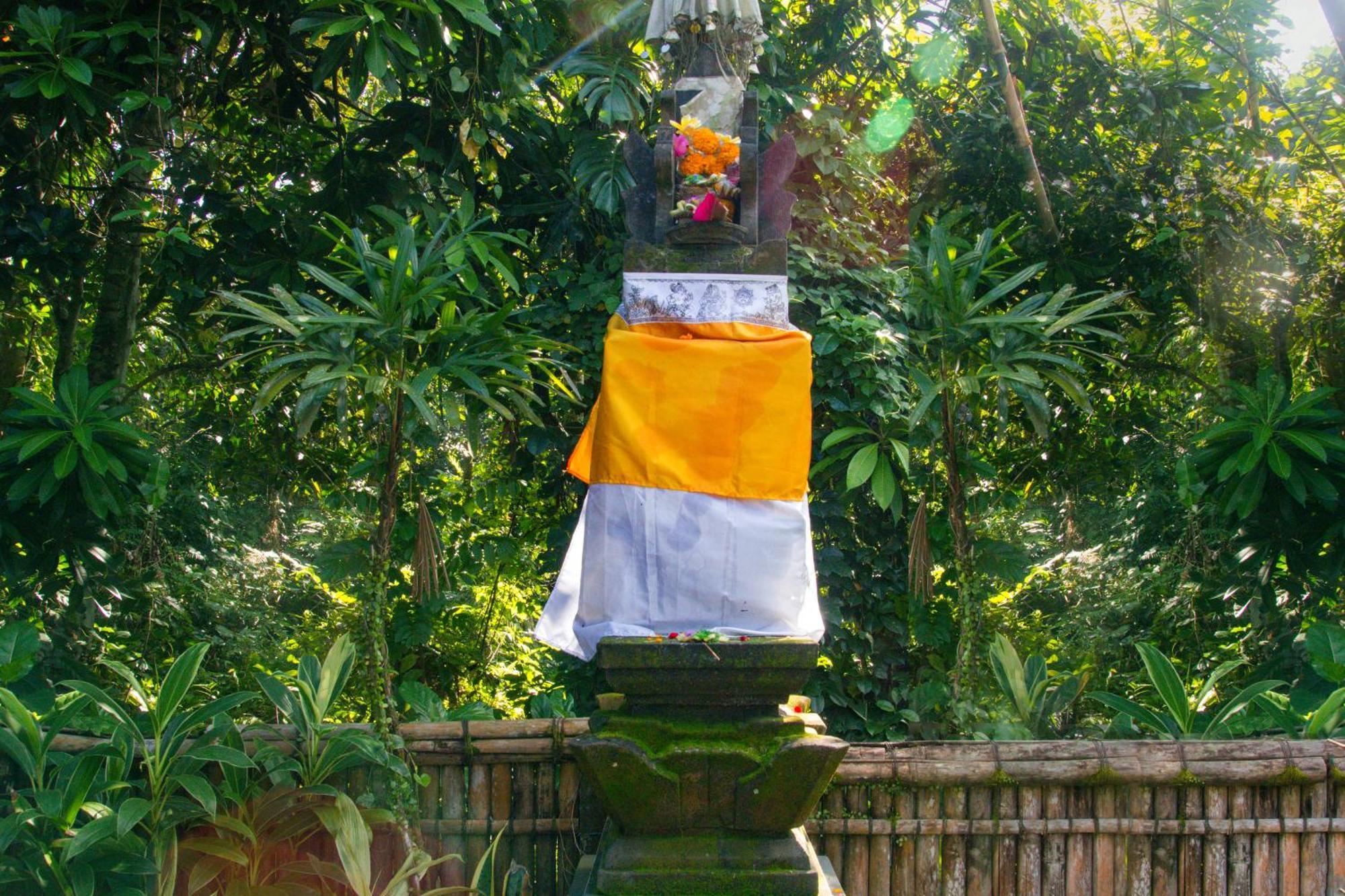 Parvati Retreat Villas Ubud Exteriör bild